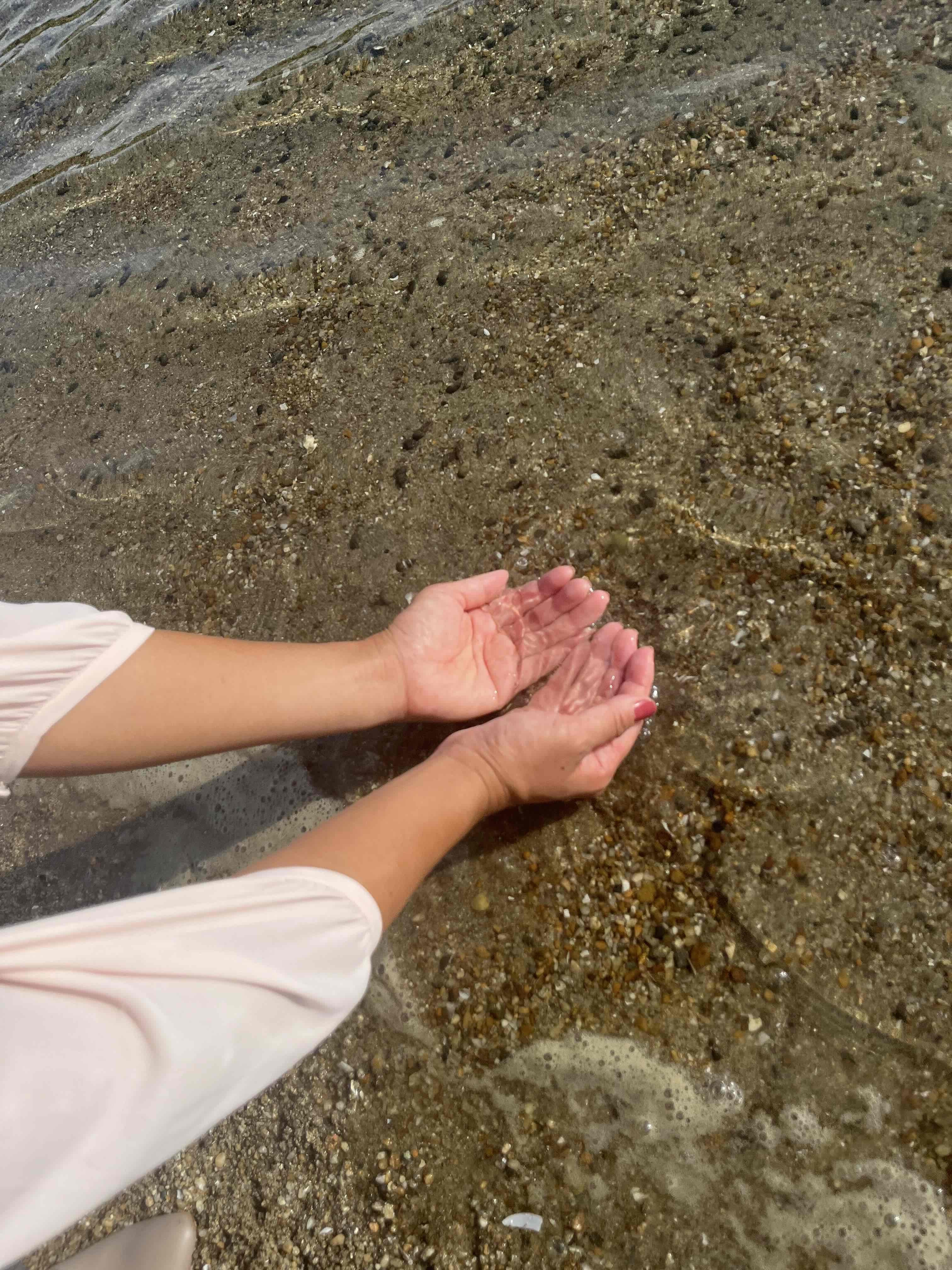 海づくり大会関連画像4