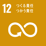 SDG 12